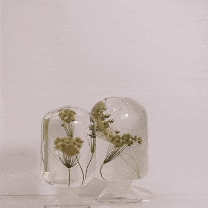 Ammi by Style Jieum