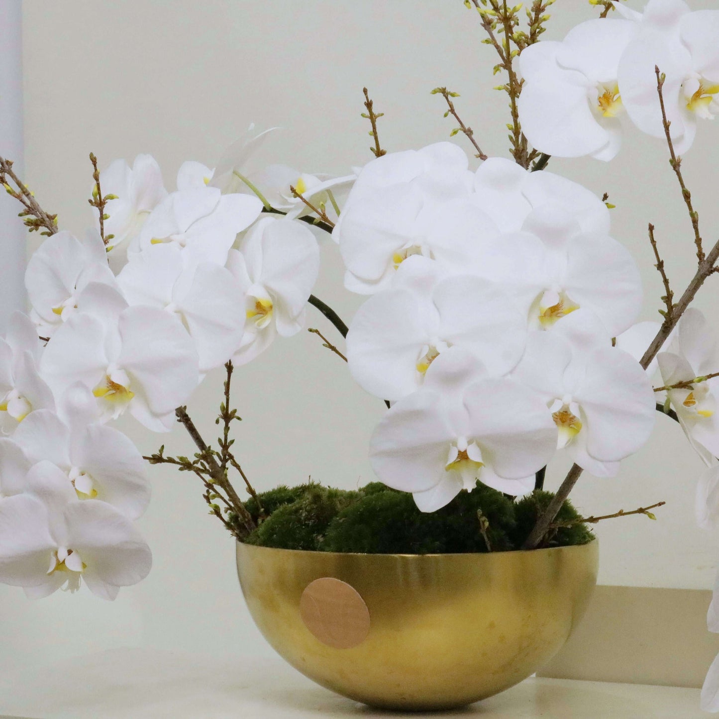 Elegant white Phalaenopsis orchids in a gold bowl with moss, ideal gift for mothers and special occasions.
