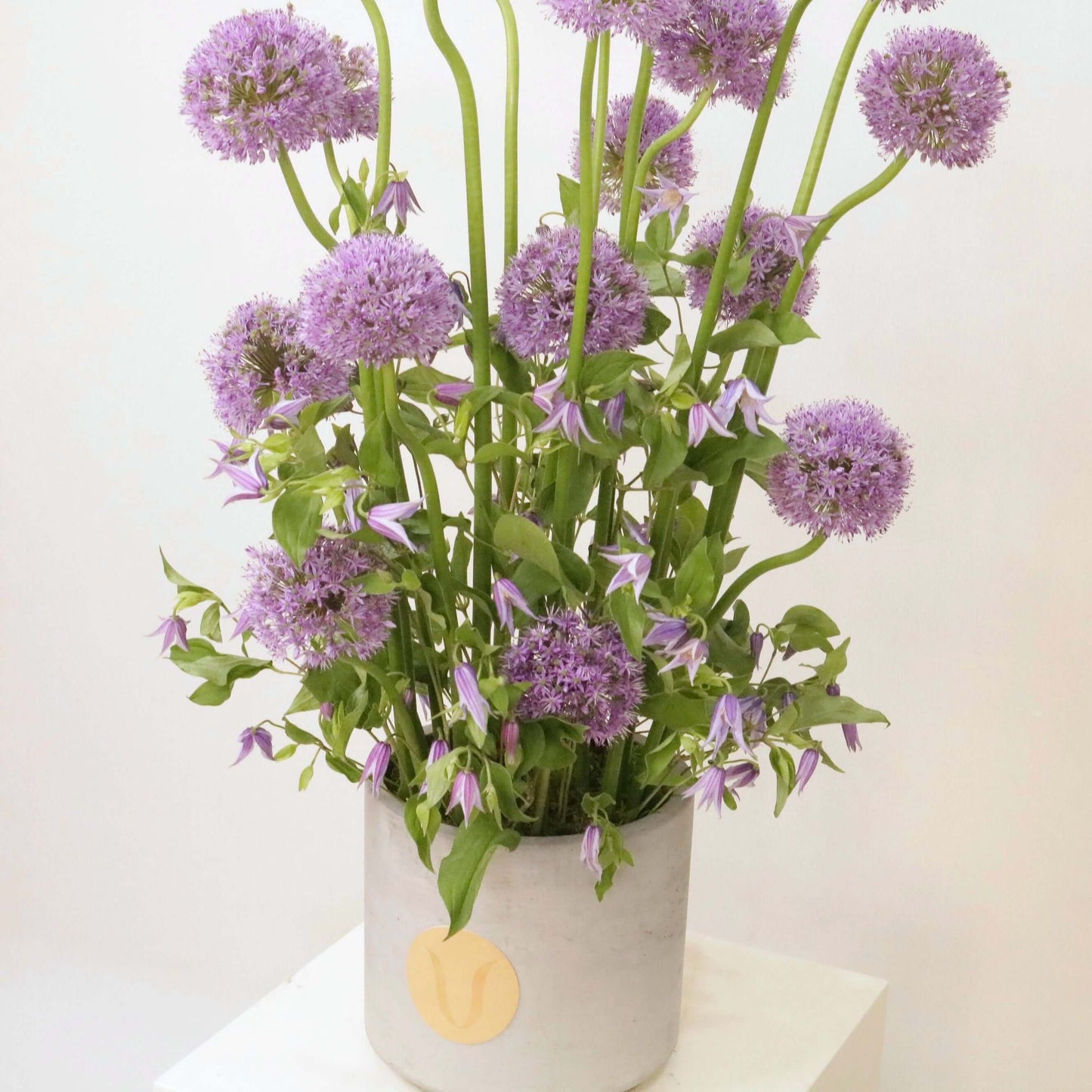 Floral arrangement with tall Alliums and Clematis in a vase, showcasing elegance and calm, perfect for modern home decor.
