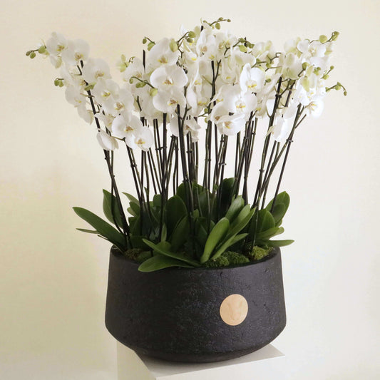 The Art of Gifting