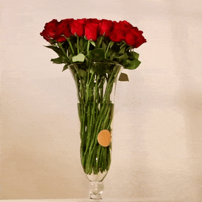 Elegancia