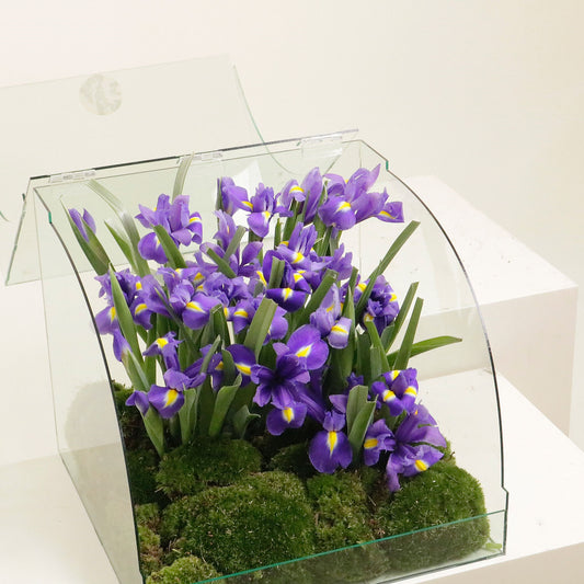 Vincent Van Gogh Irises Art Statement Floral Arrangement - Vitali Concept Kuwait