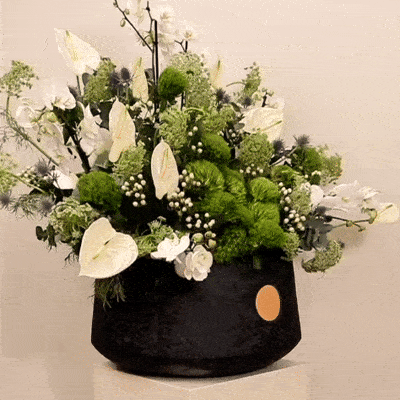 Blossoming Green Royal