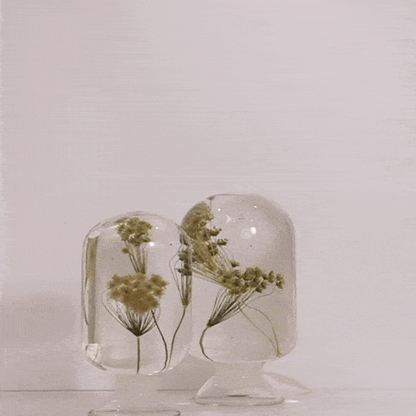 Ammi by Style Jieum