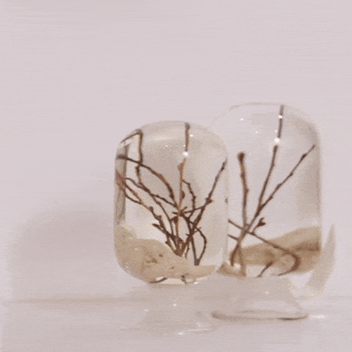 Corale Zelkova by Style Jieum