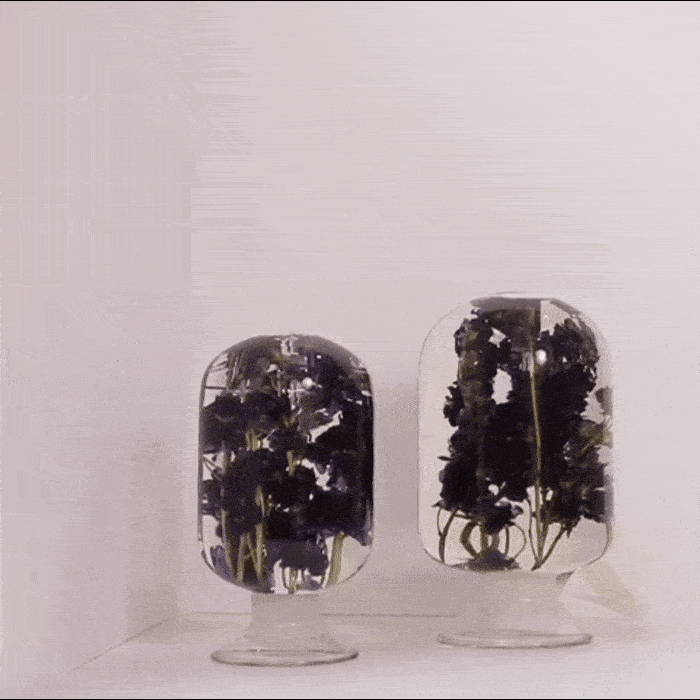 Blue Delphinium by Style Jieum