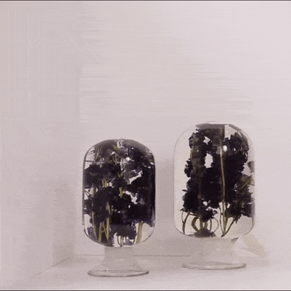 Blue Delphinium by Style Jieum
