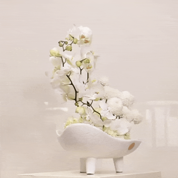 Luxurious Sonus Albus floral arrangement with white Phalaenopsis orchid, white hydrangeas, and ping-pong blooms in elegant vase.