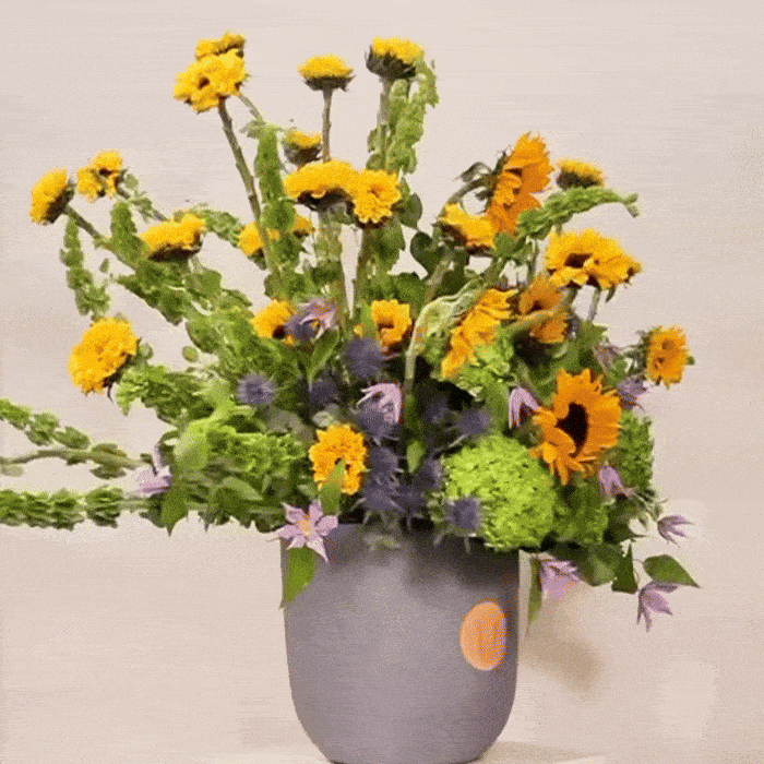 Ver Royal floral arrangement with sunflowers, green hydrangeas, and clematis in a gray vase, symbolizing spring freshness.