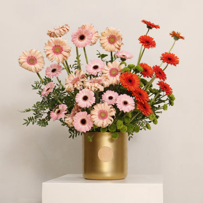 Gerbera Harmony