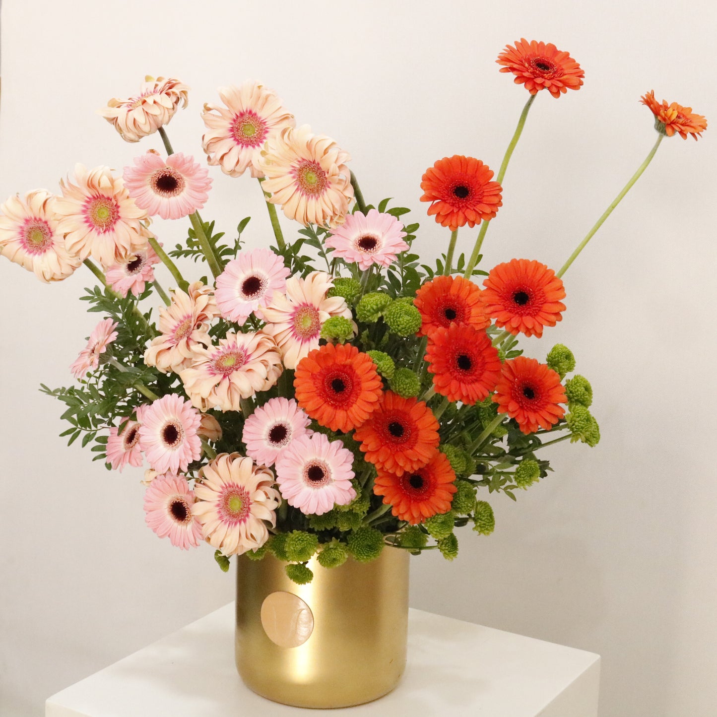 Gerbera Harmony