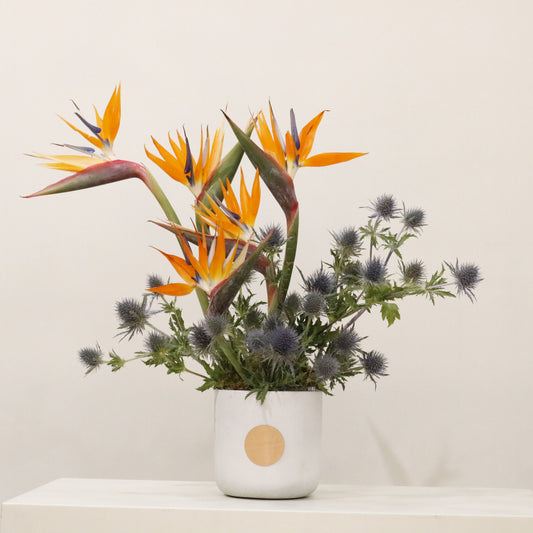 Tropical Wink luxury floral arrangement premium handcrafted exotic tropical blooms vibrant elegant gifting Kuwait Vitali Concept
