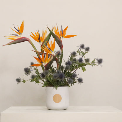 Tropical Wink luxury floral arrangement premium handcrafted exotic tropical blooms vibrant elegant gifting Kuwait Vitali Concept