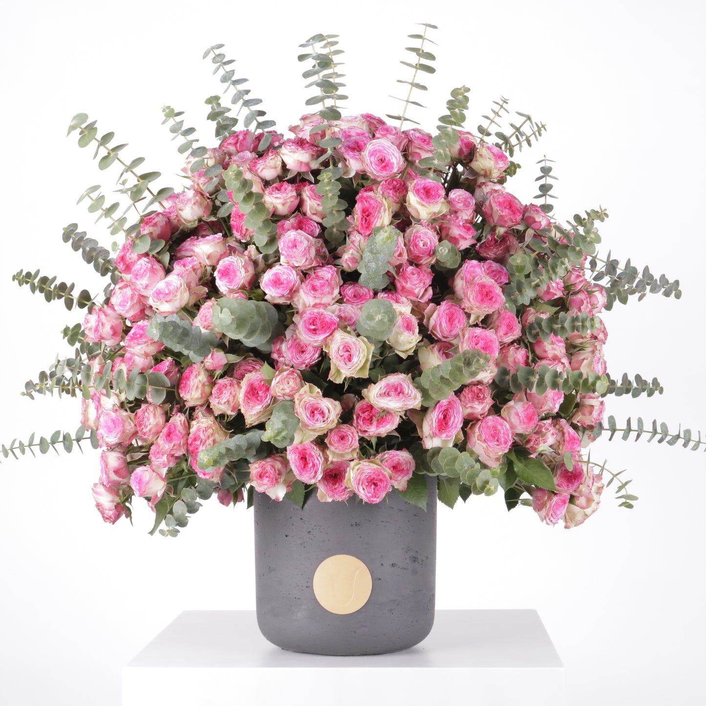 Gardenia Rosa