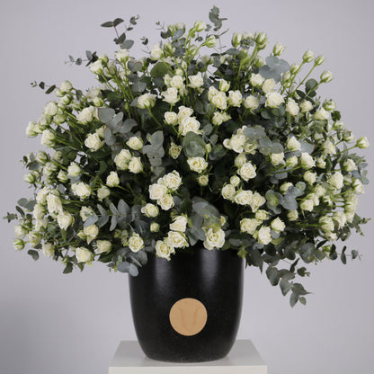 Premium arrangement of white spray roses and eucalyptus in a black pot, showcasing elegant floral design.
