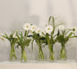 Aurora 10 luxury floral collection set premium handcrafted seasonal blooms elegant events receptions Kuwait Vitali Concept