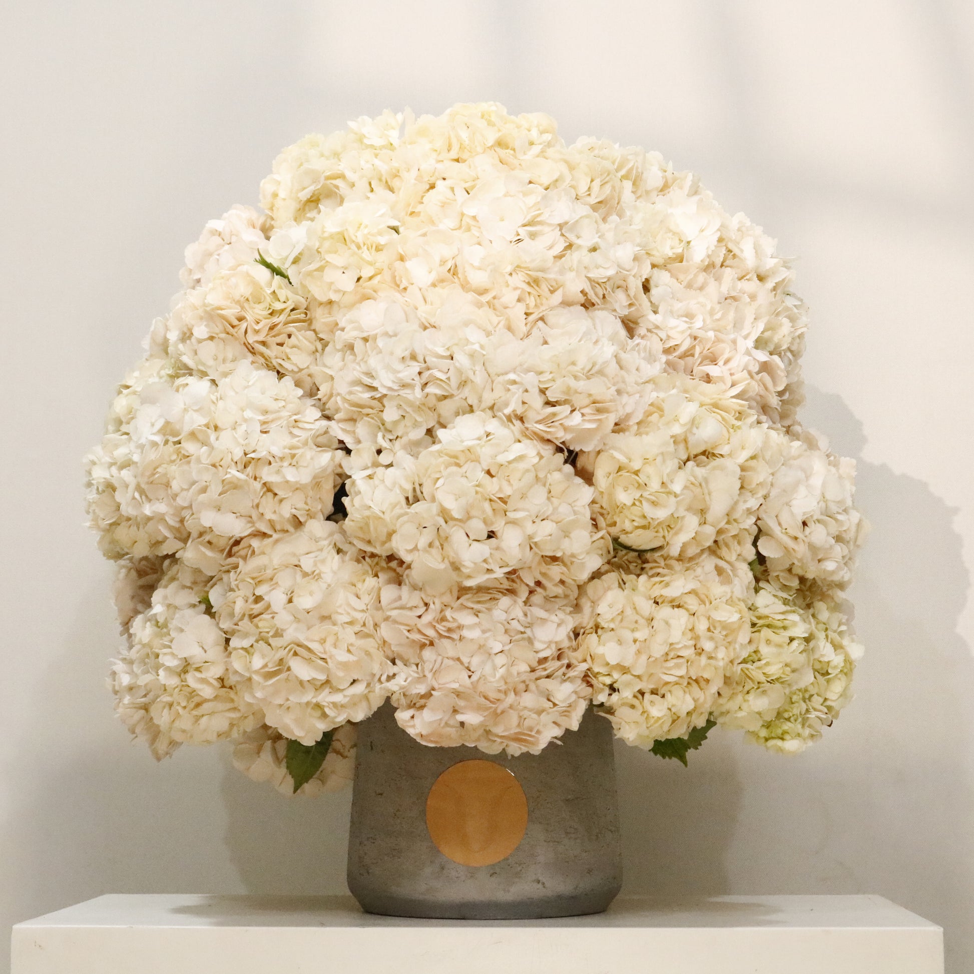 Nuage luxury hydrangea arrangement ivory blush hydrangea dome marble vase Kuwait Vitali Concept