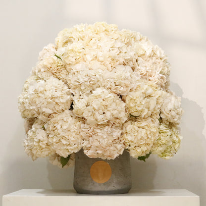 Nuage luxury hydrangea arrangement ivory blush hydrangea dome marble vase Kuwait Vitali Concept