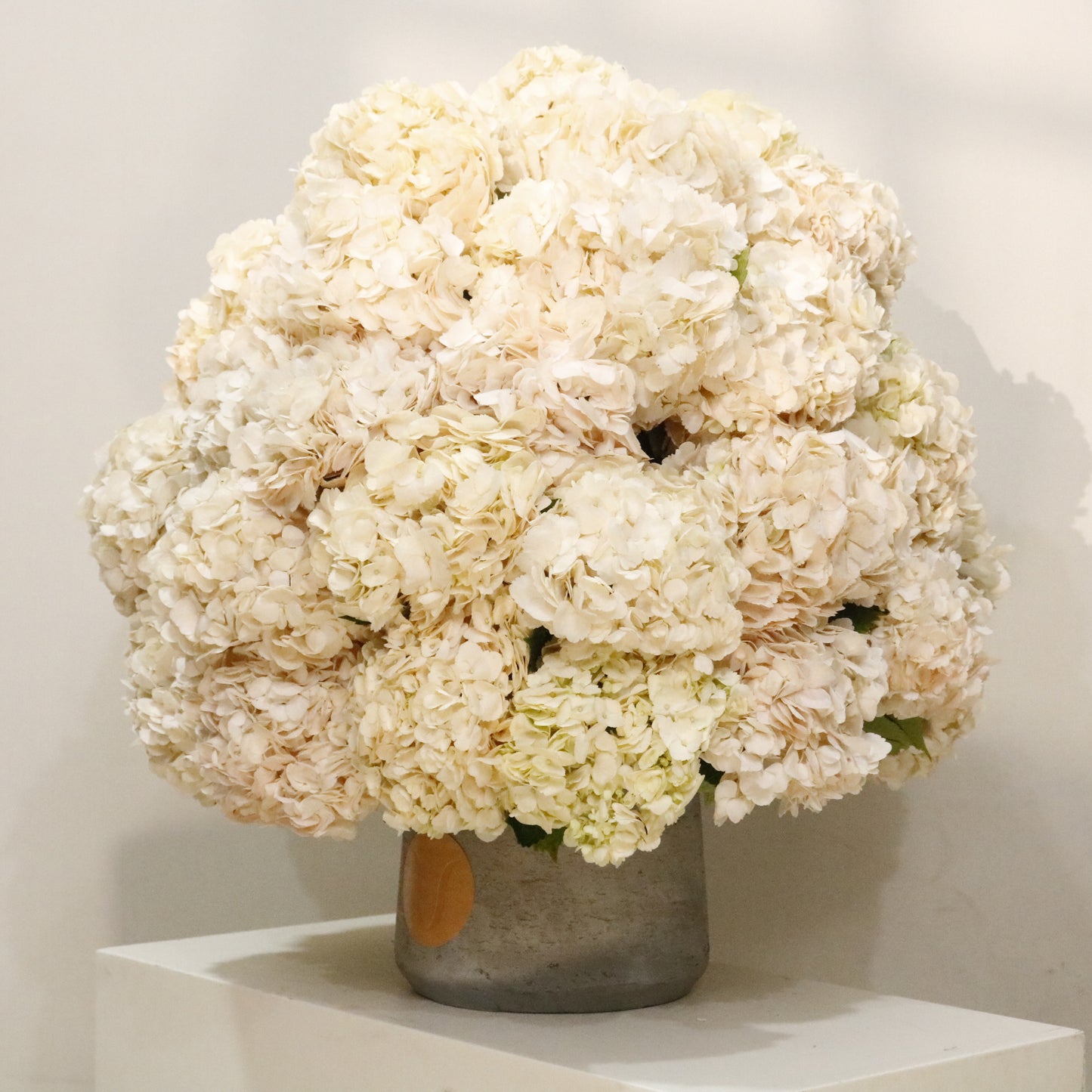 Nuage luxury hydrangea arrangement ivory blush hydrangea dome marble vase Kuwait Vitali Concept