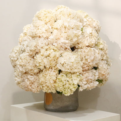 Nuage luxury hydrangea arrangement ivory blush hydrangea dome marble vase Kuwait Vitali Concept