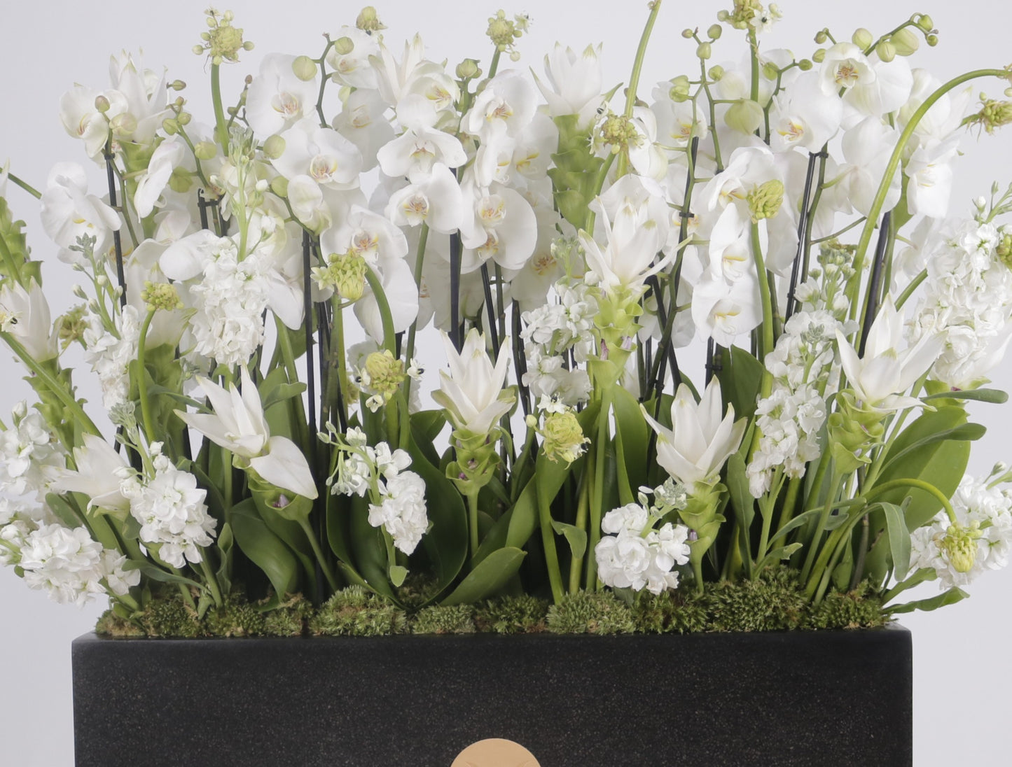 Orchidia Royal V grand luxury orchid arrangement white phalaenopsis orchids matte black planter Kuwait Vitali Concept