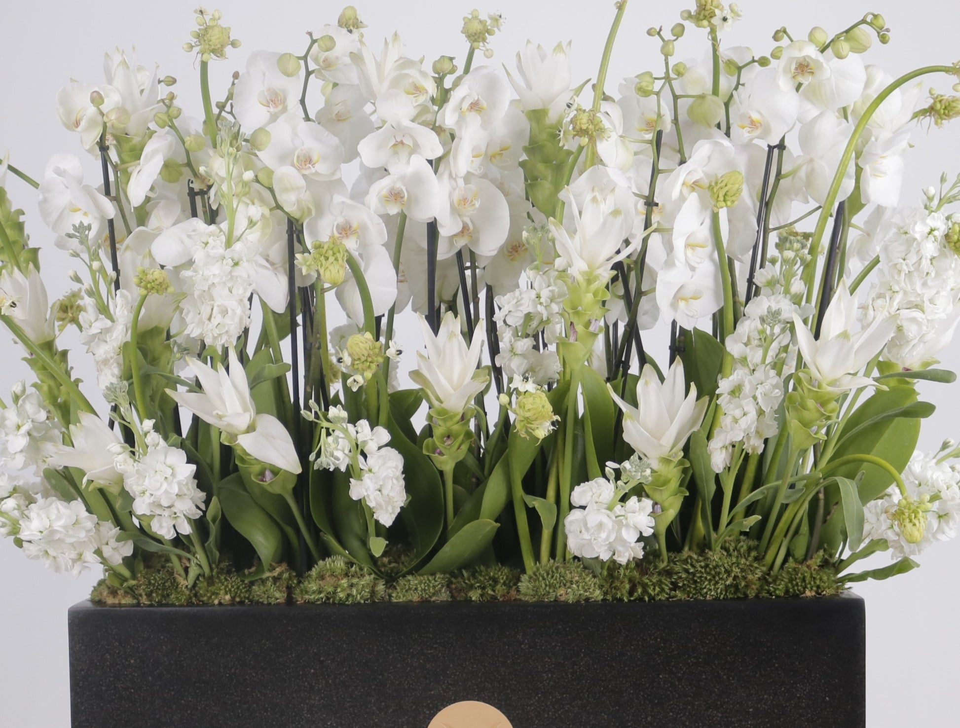 Orchidia Royal V grand luxury orchid arrangement white phalaenopsis orchids matte black planter Kuwait Vitali Concept