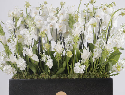 Orchidia Royal V grand luxury orchid arrangement white phalaenopsis orchids matte black planter Kuwait Vitali Concept