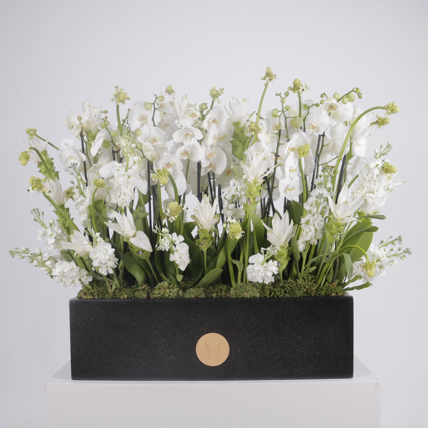 Orchidia Royal V grand luxury orchid arrangement white phalaenopsis orchids matte black planter Kuwait Vitali Concept