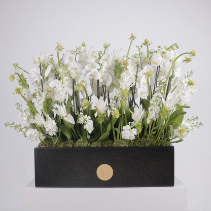 Orchidia Royal V grand luxury orchid arrangement white phalaenopsis orchids matte black planter Kuwait Vitali Concept