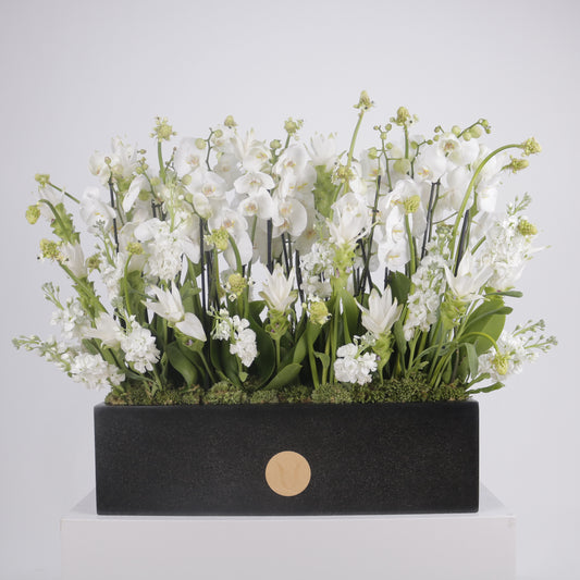 Orchidia Royal V grand luxury orchid arrangement white phalaenopsis orchids matte black planter Kuwait Vitali Concept