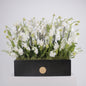 Orchidia Royal V grand luxury orchid arrangement white phalaenopsis orchids matte black planter Kuwait Vitali Concept