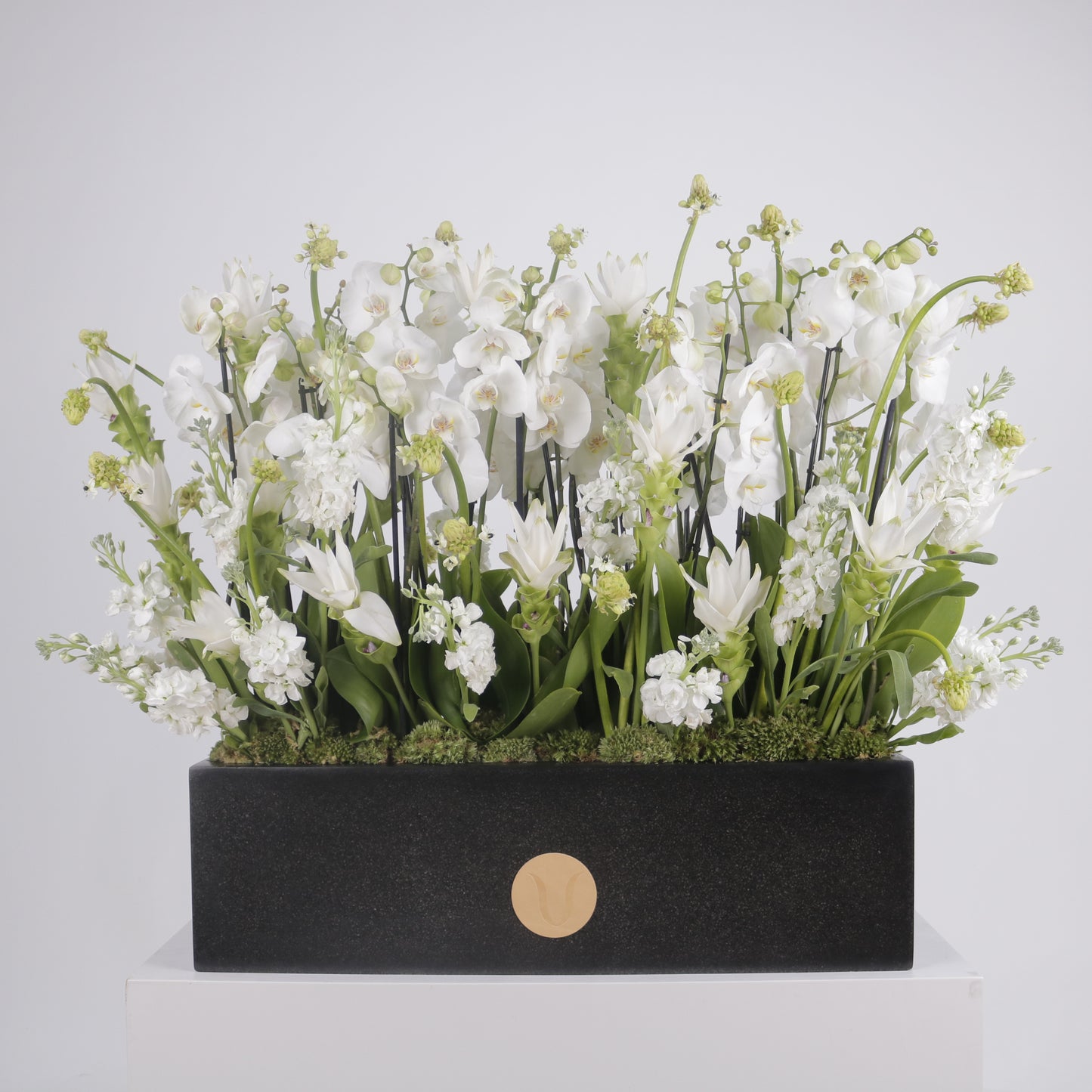 Orchidia Royal V grand luxury orchid arrangement white phalaenopsis orchids matte black planter Kuwait Vitali Concept