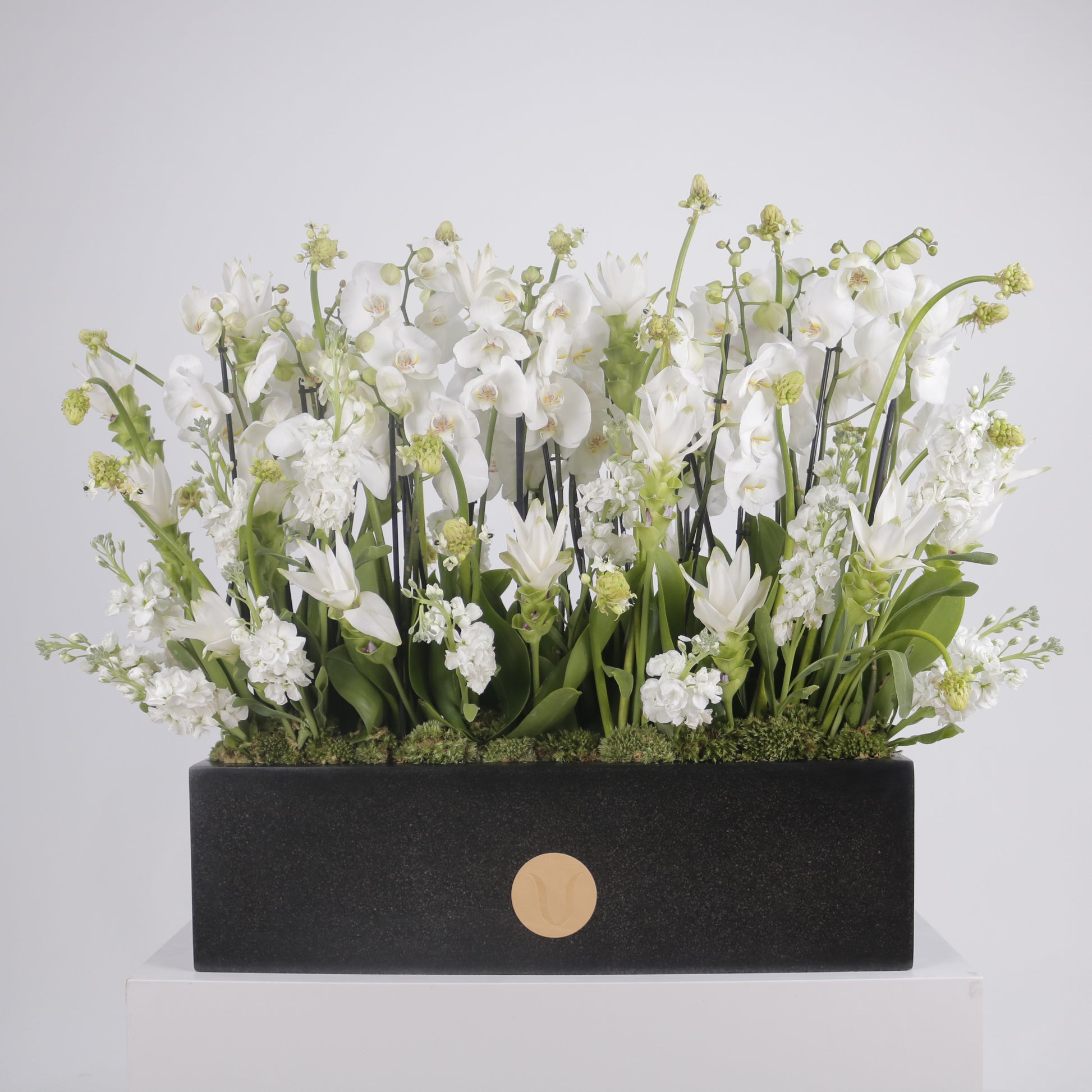 Orchidia Royal V grand luxury orchid arrangement white phalaenopsis orchids matte black planter Kuwait Vitali Concept