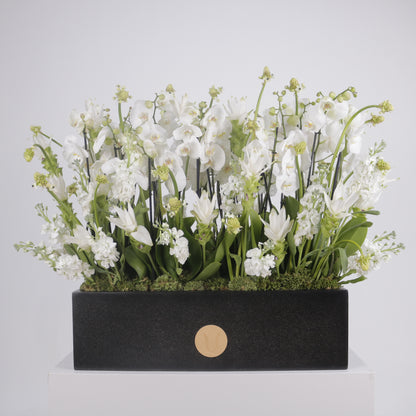 Orchidia Royal V grand luxury orchid arrangement white phalaenopsis orchids matte black planter Kuwait Vitali Concept