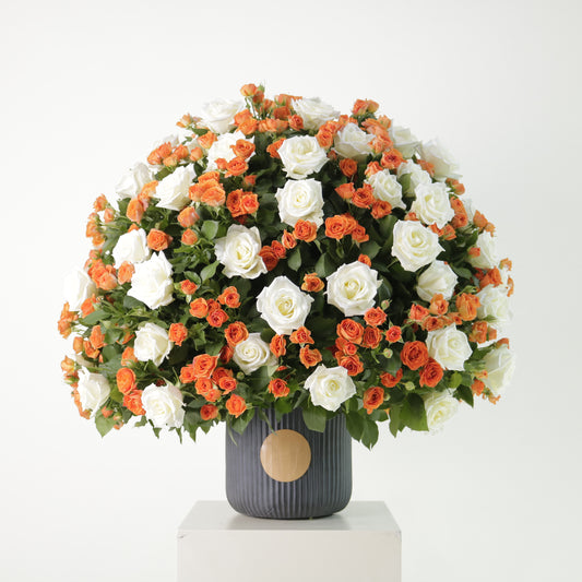 Gardenia Naranja
