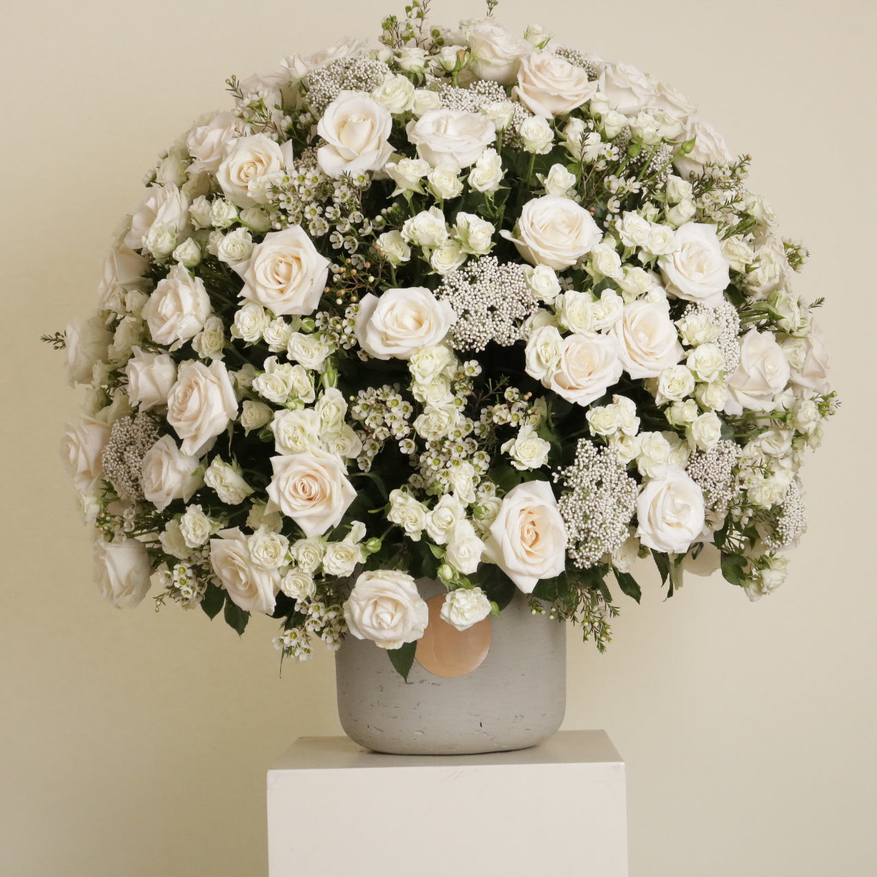Gardenia Blanche