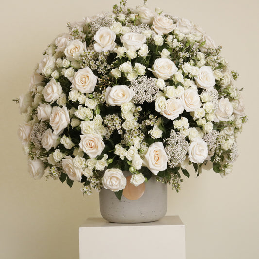 Gardenia Blanche