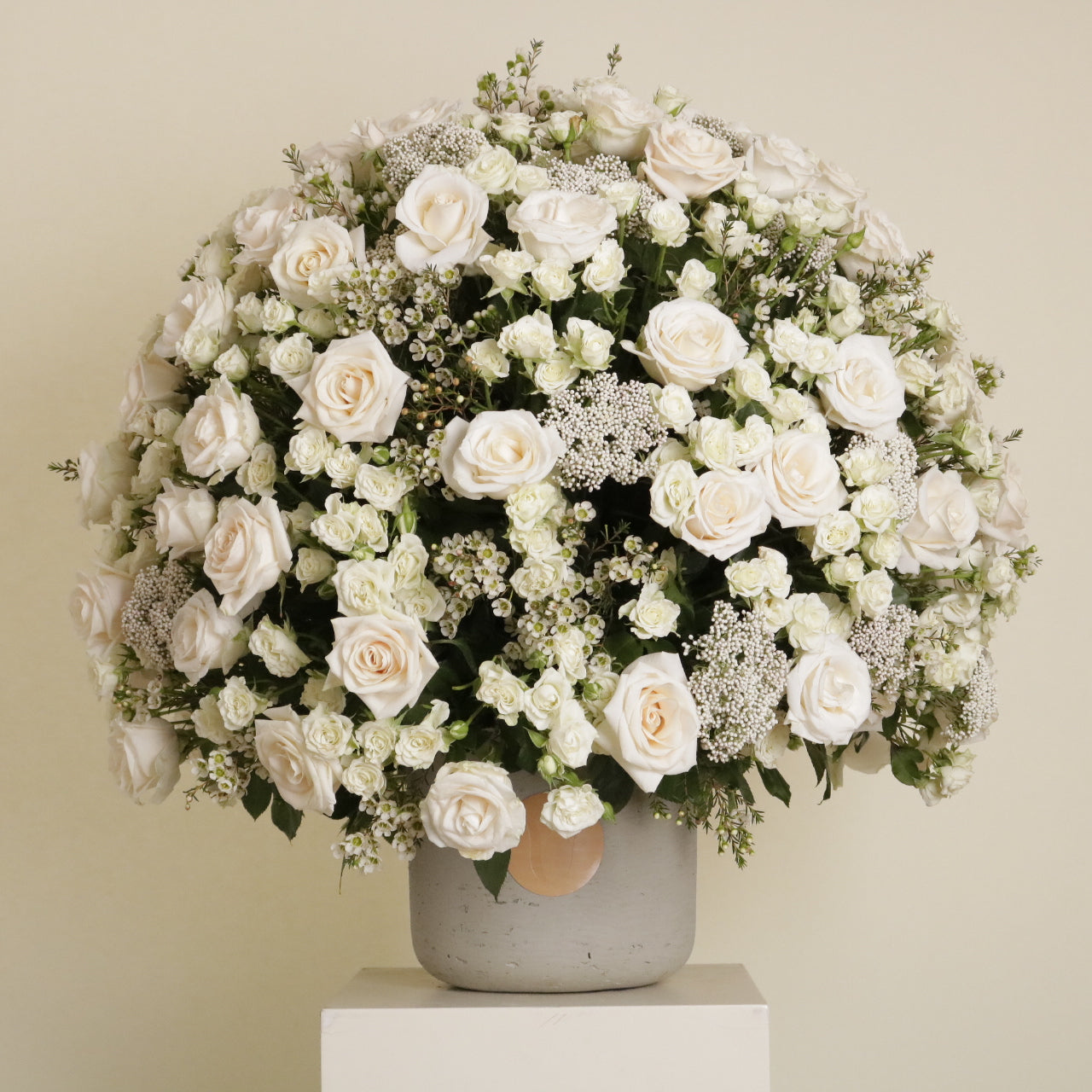 Gardenia Blanche