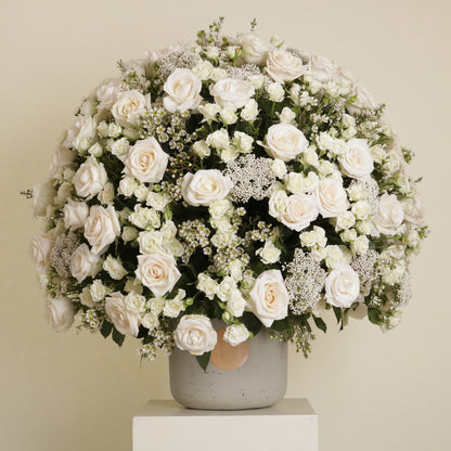 Gardenia Blanche