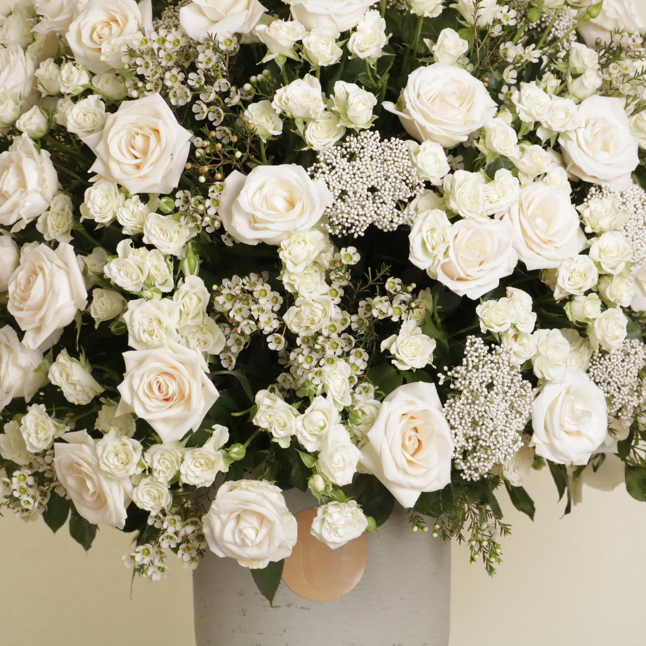 Gardenia Blanche