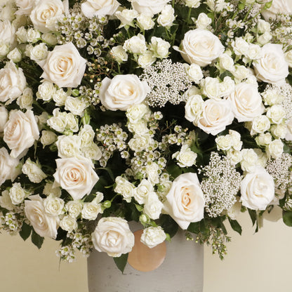 Gardenia Blanche