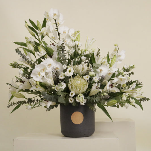 Reina