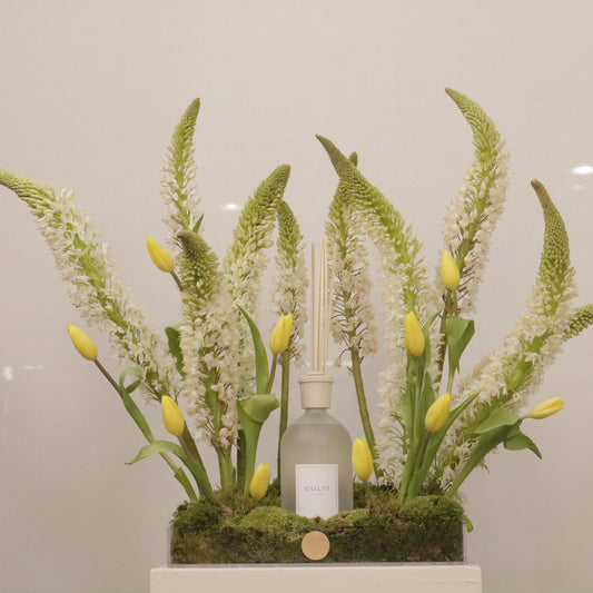 Vitali x Culti Milano I Luxury Home Fragrance Gift Set - Kuwait