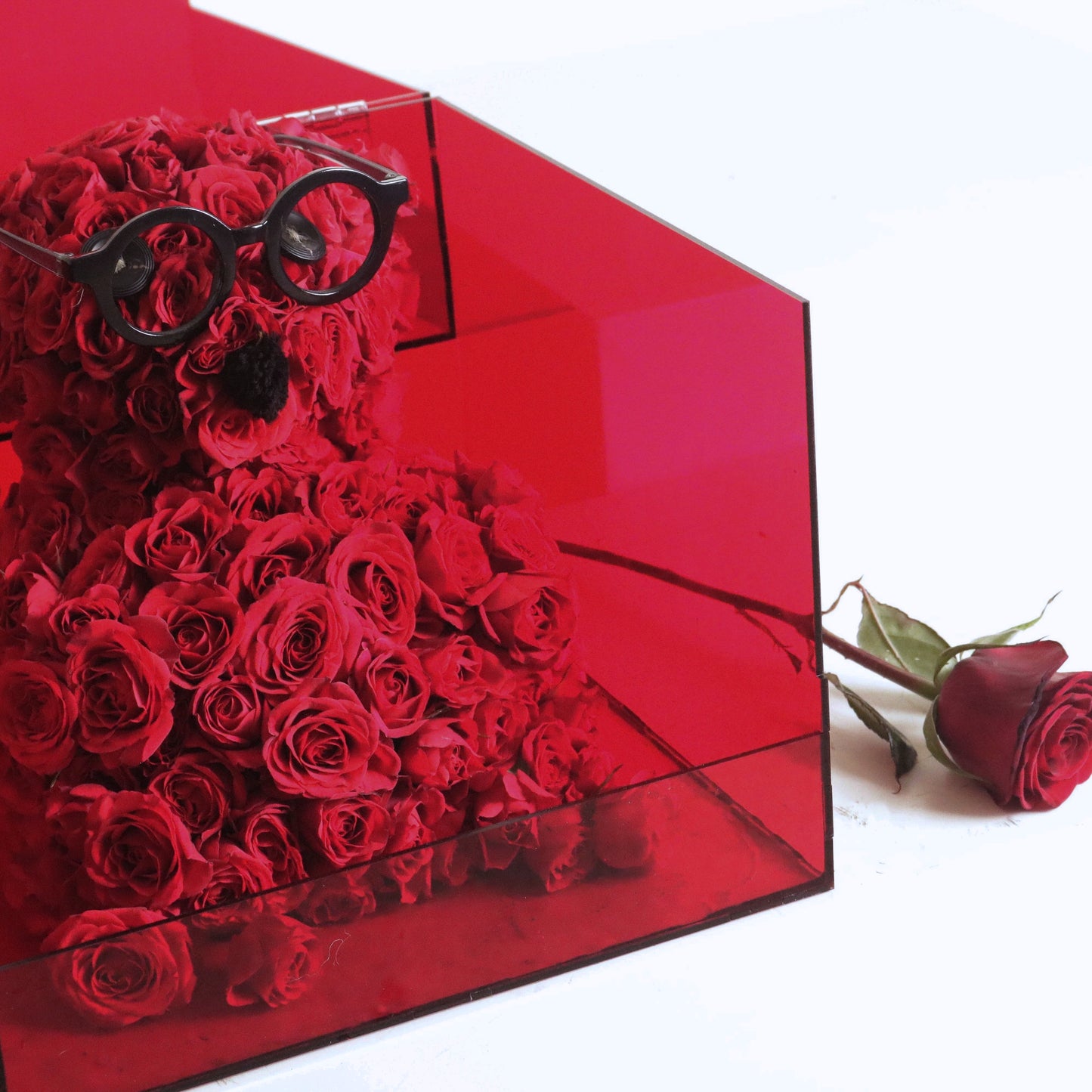 Product "Hugs In A Box": Over 90 red rose stems shaped like a bear in a transparent box with a single rose outside. Perfect romantic gift.