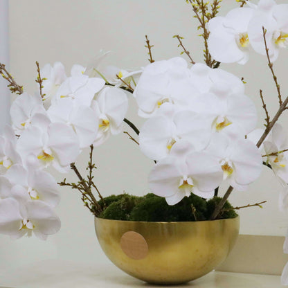 Elegant white Phalaenopsis orchids in a gold bowl with moss, ideal gift for mothers and special occasions.