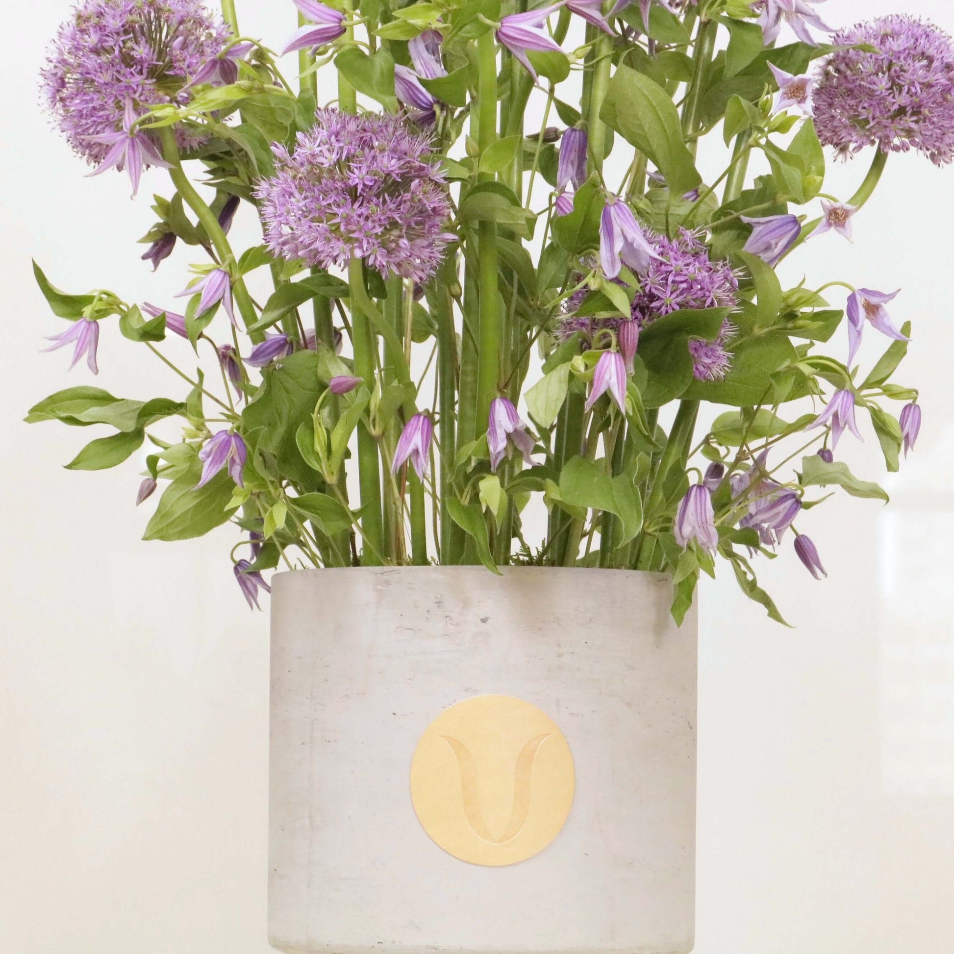 Elegant floral arrangement with tall Alliums and Clematis in a modern vase.