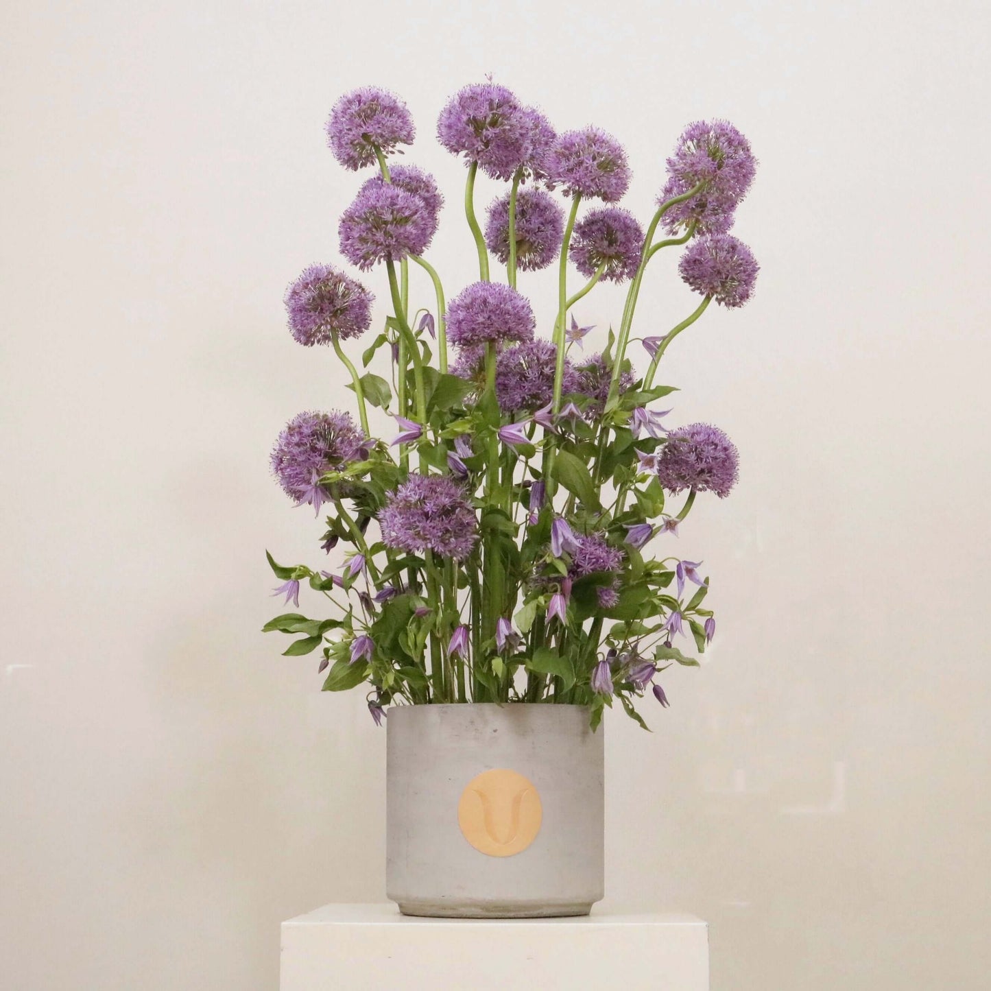 Tall floral arrangement with purple Alliums and delicate Clematis in a modern pot titled 'Love Purity', perfect for elegant interiors.