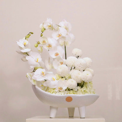 Luxurious Sonus Albus floral arrangement with white Phalaenopsis orchids, hydrangeas, and ping-pong blooms in an elegant bowl.