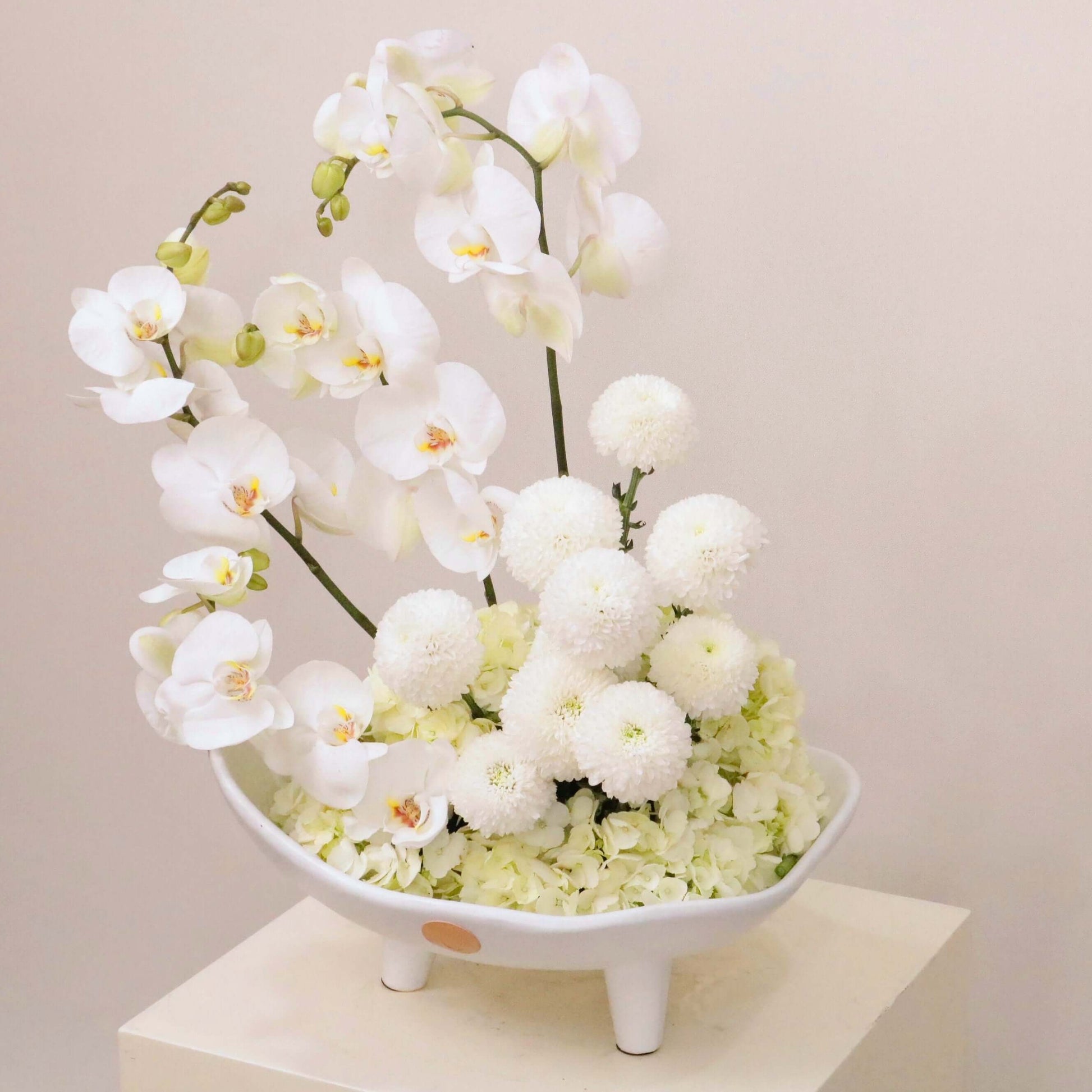 Sonus Albus floral arrangement with white Phalaenopsis orchid, hydrangeas, and ping-pong blooms in elegant display.