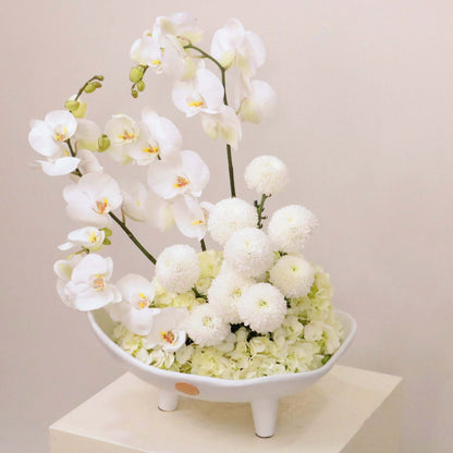 Sonus Albus floral arrangement with white Phalaenopsis orchid, hydrangeas, and ping-pong blooms in elegant display.
